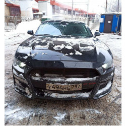 Ford Mustang Mustang