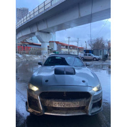 Ford Mustang Mustang