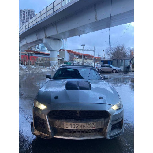 Ford Mustang Mustang