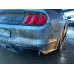 Ford Mustang Mustang