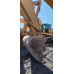 KOMATSU PC 220 Экскаватор PC 220-8M0 (Дизельный, 6,7 л, 167 л.с., АТ)
