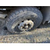 FAW J6 8x4 Самосвал CA3310P66K24T4E5 (Дизельный, 11,1 л, 420 л.с., МТ)