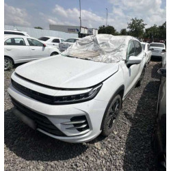 EXEED LX Luxury 1.5T CVT 2WD