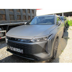 EXEED RX 2.0T 8AT Premium, IOV (I Поколение)
