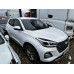CHERY Tiggo 4 PRO Action