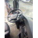 Shacman (Shaanxi) SX* 4x2 Седельный тягач SX4188YY381 (Дизельный, 12,5 л, 473 л.с., МТ)