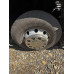 Shacman (Shaanxi) SX* 4x2 Седельный тягач SX4188YY381 (Дизельный, 12,5 л, 473 л.с., АТ)