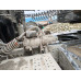 Shacman (Shaanxi) SX* 6x4 Седельный тягач SX42584V324 (Дизельный, 11,6 л, 423 л.с., МТ) Shacman (Shaanxi) SX* 6x4 Седельный тягач SX42584V324 (Дизельный, 11,6 л, 423 л.с., МТ)