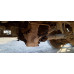Shacman (Shaanxi) SX* 6x6 Самосвал SX32586V385 (Дизельный, 11,6 л, 423 л.с., МТ) Shacman (Shaanxi) SX* 6x6 Самосвал SX32586V385 (Дизельный, 11,6 л, 423 л.с., МТ)