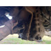 Shacman (Shaanxi) SX* 6x6 Самосвал SX32586W385C (Дизельный, 10,8 л, 441 л.с., МТ)