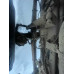 Shacman (Shaanxi) SX* 6x6 Самосвал SX32586T385 (Дизельный, 11,6 л, 369 л.с., МТ)