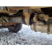 Shacman (Shaanxi) SX* 8x4 Самосвал SX33186T366C (Дизельный, 10,8 л, 381 л.с., МТ)
