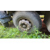 Shacman (Shaanxi) SX* 8x4 Самосвал SX33186V366 (Дизельный, 11,6 л, 423 л.с., МТ)