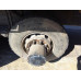 Shacman (Shaanxi) SX* 8x4 Самосвал SX331863366 (Дизельный, 12,5 л, 544 л.с., МТ)