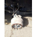 Shacman (Shaanxi) SX* 8x4 Самосвал SX331863366 (Дизельный, 12,5 л, 544 л.с., МТ)