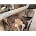 Shacman (Shaanxi) SX* 8x4 Самосвал SX33186V366 (Дизельный, 11,6 л, 423 л.с., МТ)