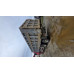 Shacman (Shaanxi) SX* 8x4 Самосвал SX33186W366C (Дизельный, 10,8 л, 441 л.с., МТ)
