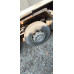 Shacman (Shaanxi) SX* 8x4 Самосвал SX33186W366C (Дизельный, 10,8 л, 441 л.с., МТ)