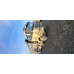 Shacman (Shaanxi) SX* 8x4 Самосвал SX331863366 (Дизельный, 12,5 л, 544 л.с., МТ)