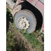 Shacman (Shaanxi) SX* 8x4 Самосвал SX331863366 (Дизельный, 12,5 л, 551 л.с., МТ)