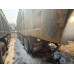 Shacman SX* 8x4 Самосвал SX331864366C