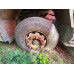 Shacman (Shaanxi) SX* 8x4 Самосвал SX331863366 (Дизельный, 12,5 л, 544 л.с., МТ)