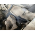 Shacman (Shaanxi) SX* 8x4 Самосвал SX331863366 (Дизельный, 12,5 л, 544 л.с., МТ)