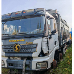 Shacman SX* 8x4 Самосвал SX331864366C