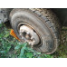 Shacman (Shaanxi) SX* 8x4 Самосвал SX331863366 (Дизельный, 12,5 л, 544 л.с., МТ)