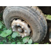 Shacman (Shaanxi) SX* 8x4 Самосвал SX331863366 (Дизельный, 12,5 л, 544 л.с., МТ)
