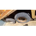 Shacman (Shaanxi) SX* 8x4 Самосвал SX3318DT366 (Дизельный, 11,6 л, 369 л.с., МТ)