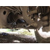 Land Rover RANGE ROVER V8 5.0 S/C SVAutobiography Dynamic