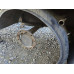 Wielton NW-3 Полуприцеп самосвальный NW3A55SD