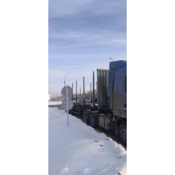 Тонар 9445 Полуприцеп сортиментовоз ТОНАР 9445