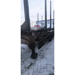 Тонар 9445 Полуприцеп сортиментовоз ТОНАР 9445