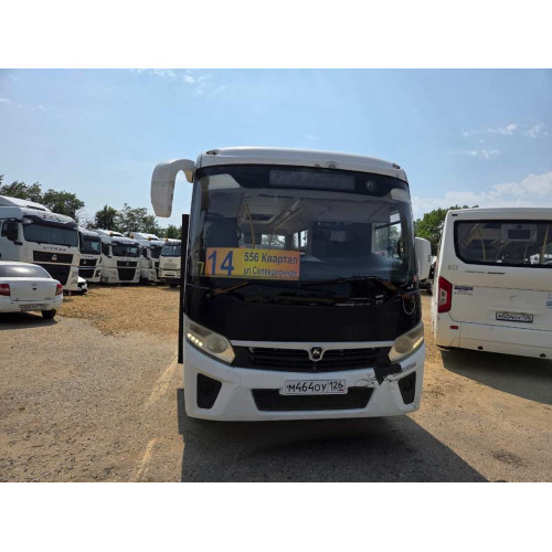 ПАЗ 3204 Автобус 320435-04 (Дизельный, 4,4 л, 169 л.с., 20 пас.)