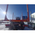 Дизель-С 6003* Прицеп сортиментовоз 600329