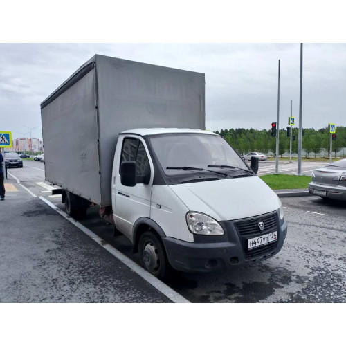 GAZ GAZELLE BUSINESS Бортовой (Евроборт) 2790-0000010-11 (Евроборт, Бензин/Газ, 2,7 л, 107 л.с. МТ)