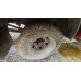 СПЕЦАВТОМАШ 2788* на шасси GAZ GAZELLE BUSINESS Бортовой (Евроборт) 278830