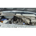 Спецавтомаш 2788* на шасси GAZ GAZELLE NEXT Промтоварный_не актуально 278858 (Дизельный, 2,5л, 150 л.с.)