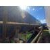 BONUM 914220 Полуприцеп цистерна 914220-02