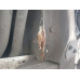 DAF XF 4x2 Седельный тягач FT XF 105 410 (Дизельный, 12,9 л, 408 л.с., АТ)