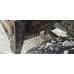 КамАЗ 6520 6x4 Самосвал 6520-3026012-53 (Дизельный, 11,7 л, 400 л.с., МТ)