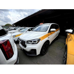 SWM G05 Pro Family5 (7 мест) 1.5T DCT (I поколение, I рестайлинг)