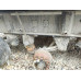 Grunwald 9453 Полуприцеп самосвальный 9453-0000010-50