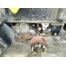 Grunwald 9453 Полуприцеп самосвальный 9453-0000010-50