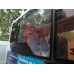 КАвЗ 4270 Автобус 4270-70 (Газ, 5,9 л, 230 л.с., 90 пас.)