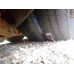 КАвЗ 4270 Автобус 4270-70 (Газ, 5,9 л, 230 л.с., 90 пас.)